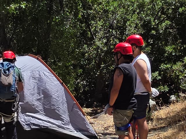 Colaboración efectiva